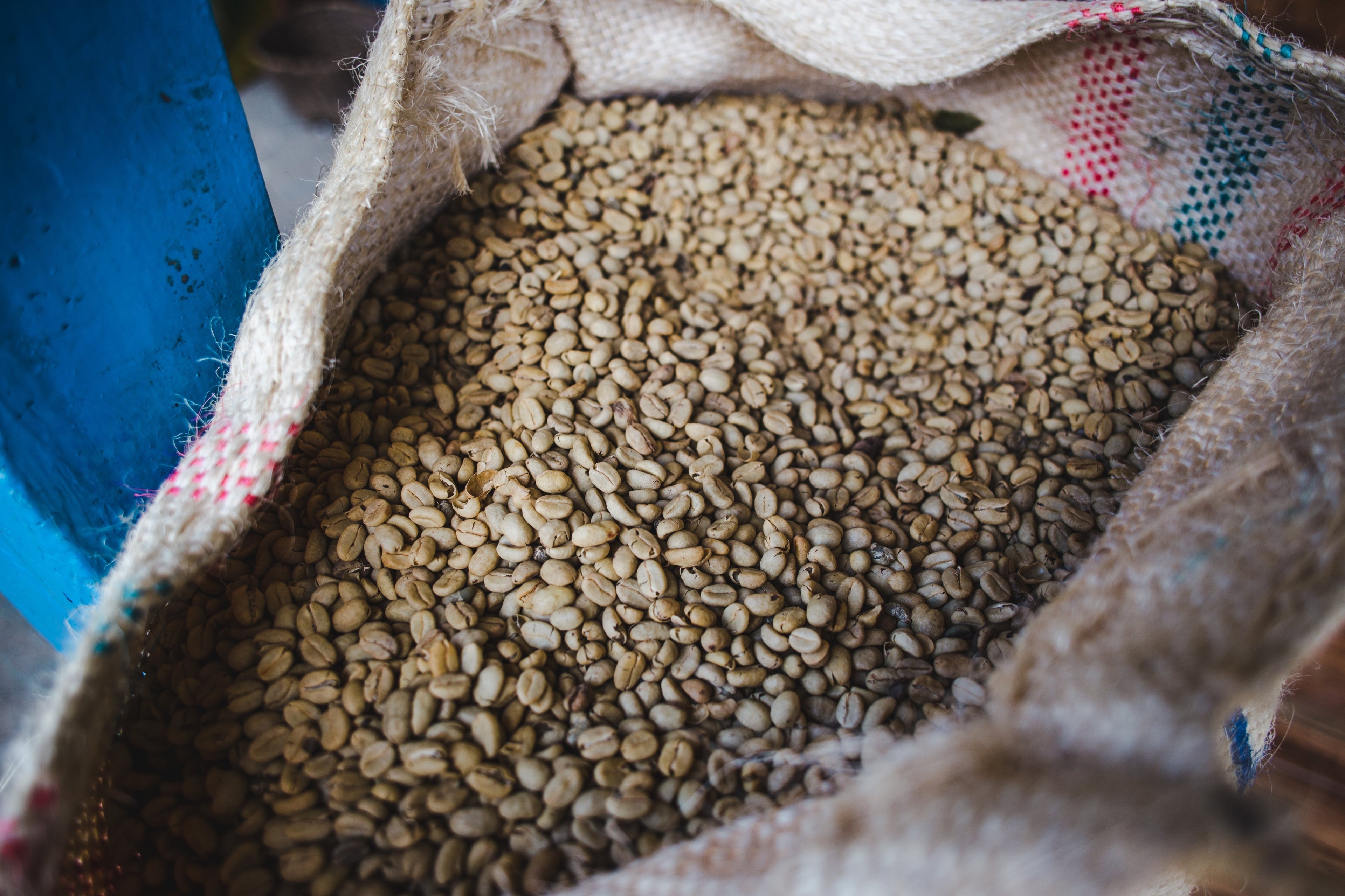 產區單品咖啡豆 Single Origin｜品嚐專有風土滋味