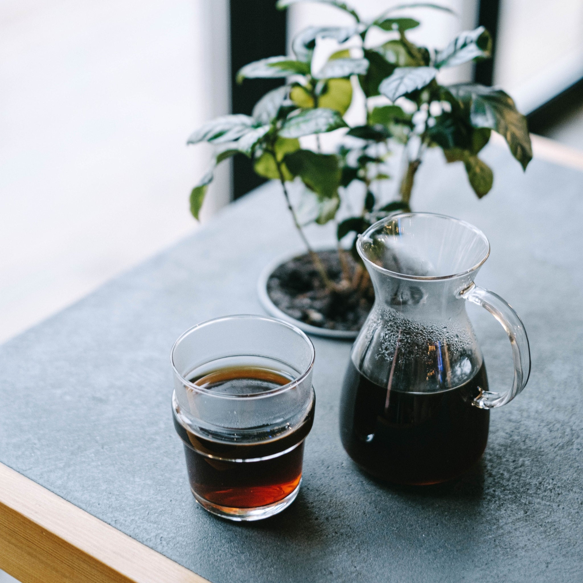 Light & Medium Light Roast