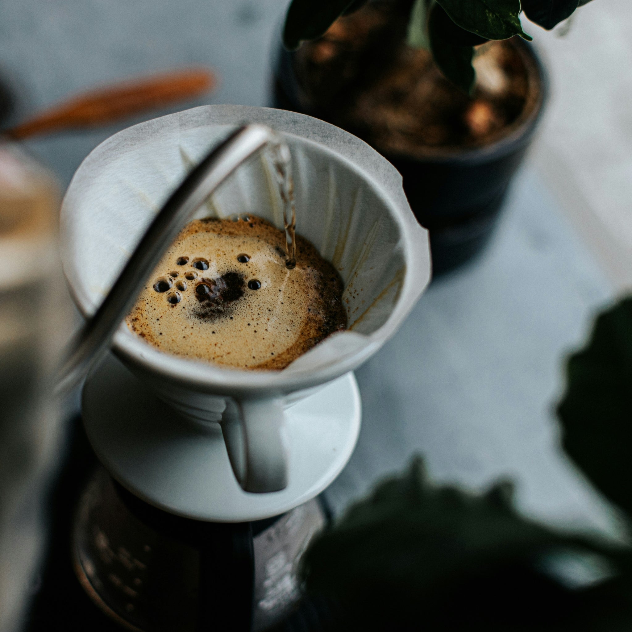 Coffee Workshop
